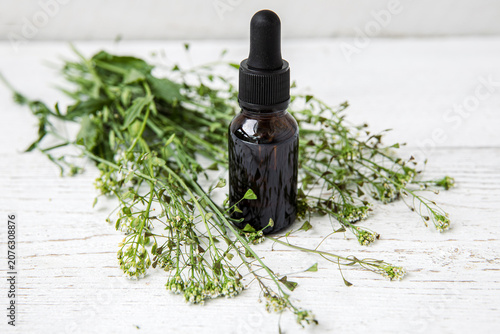 Herbal medicinal flower plant Capsella bursa-pastoris, commonly known as shepherd's purse or lady's purse small herbal medicinal flower. Tincture in a bottle on white wood board background.