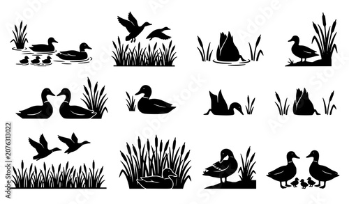 Schilderij op canvas Duck and Water Bird Silhouette Collection with Flying Swimming Resting and Wetla