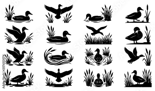 Bild auf Leinwand Wild Duck and Water Bird Silhouette Vector Collection with Flying Nesting Swimmi