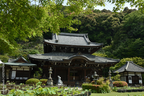 Fotografía 三室戸寺　サツキの頃の本堂(京都府宇治市)