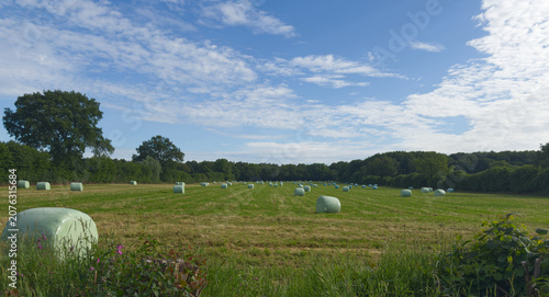 Blick auf ein Feld mit Heuballen