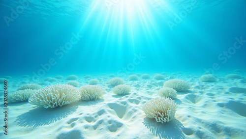 Sun rays stream through clear turquoise ocean over pale coral on rippled white sand