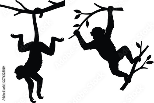Photography Monkey silhouettes hanging upside down by tail and climbing on tree branches iso