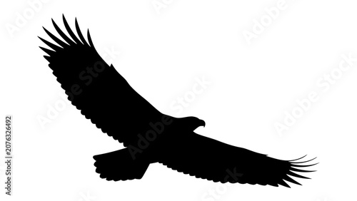 Foto Silhouette of an Eagle in Flight: A striking black silhouette of an eagle in mid-flight, showcasing its majestic wingspan against a crisp white background, representing freedom and power