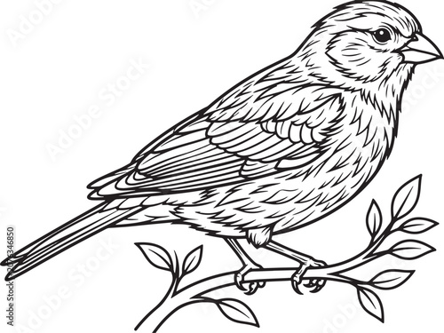 Little sparrow facing right on a leafy stem