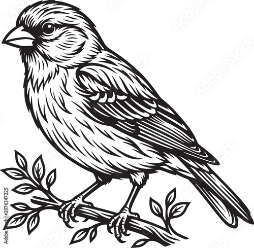 Perched songbird looking ahead on a leafy branch