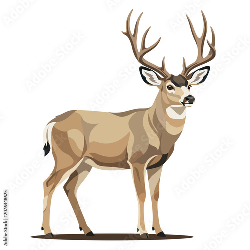 Tableau sur toile A majestic brown deer stands tall against a clean white background