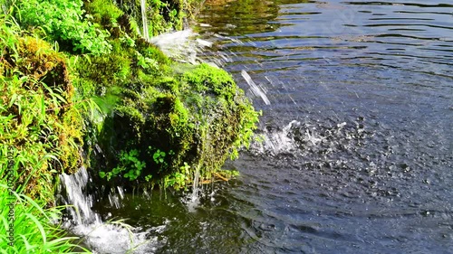 清流の水飛沫