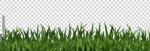 Green Grass And Transparent Background , Vector Illustration