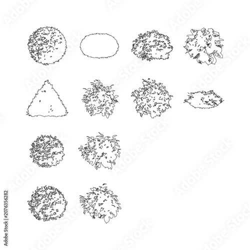 Canvas-taulu Top view of outline black tree icon for landscaping and architectural design on transparent