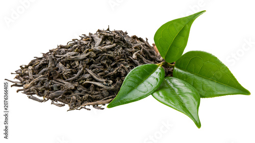 Dried green tea leaves with fresh green tea leaves