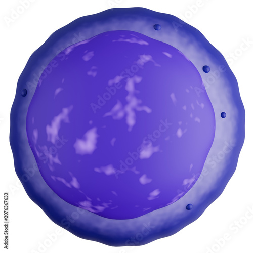 Lymphocyte White Blood Cell with Large Round Nucleus 3D Illustration.