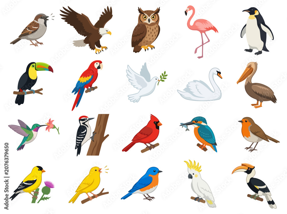 Fototapeta premium A collection of various colorful bird species illustrated in a flat vector style.
