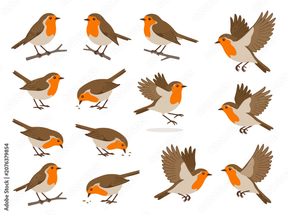 Fototapeta premium A collection of various robin bird illustrations in different poses and actions.