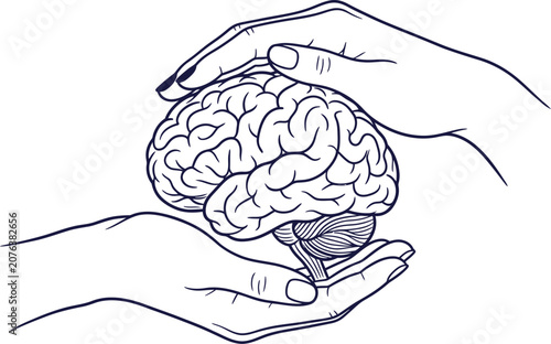 Hands cradling a brain