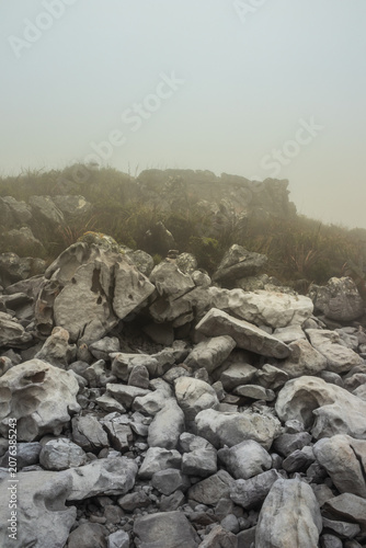 Misty View Over Kirstenbosch and Cape Town from Table Mountain Hiking Trail