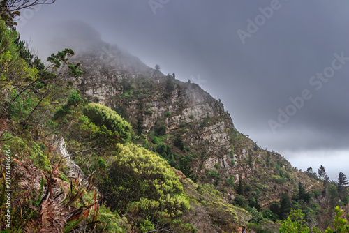 Misty View Over Kirstenbosch and Cape Town from Table Mountain Hiking Trail