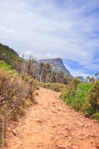 Table Mountain Hiking Trail with Fynbos and Cliffs Above Kirstenbosch Cape Town