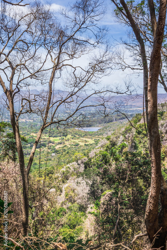 Panoramic View of Kirstenbosch Botanical Garden and Cape Town from Table Mountain