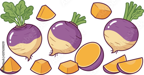 Obraz na plátně Cute rutabaga turnip vector cartoon illustration set with whole cut half slices