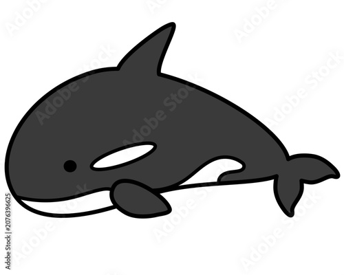 かわいいシャチのカラーアイコン