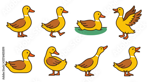 Set of cute cartoon duck characters in various poses and actions isolated on white background.
