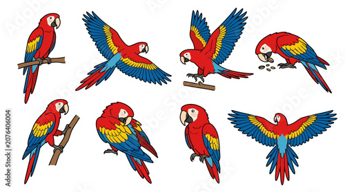 Collection of colorful scarlet macaw parrots in various poses and flight positions.