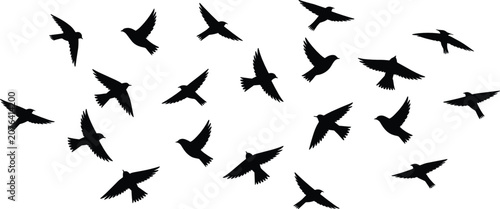 Photos Birds flying flock silhouette vector illustration set with small wild songbirds migrating in the sky for freedom nature design