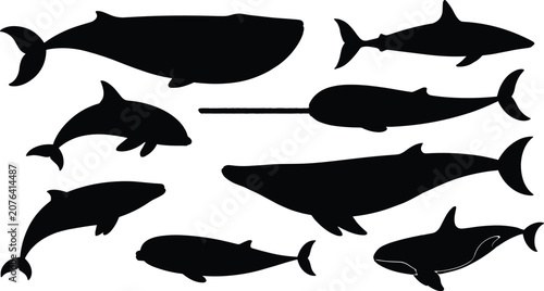Foto Whale and marine mammal silhouette vector illustration set with various ocean species like narwhal shark dolphin and orca for sea wildlife design