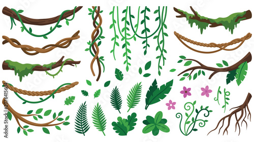 Bild auf Leinwand Tropical jungle liana vines and exotic foliage plant set.