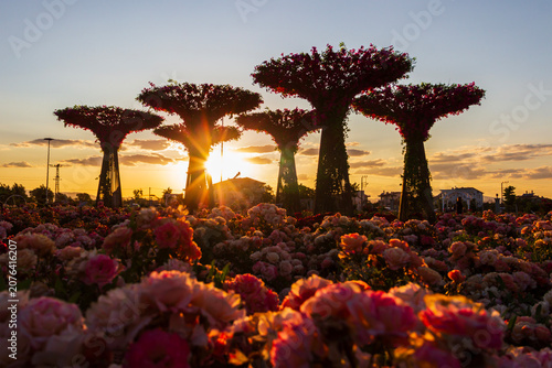 Foto Sunset at Konya Karatay Mevlana Rose Park.
