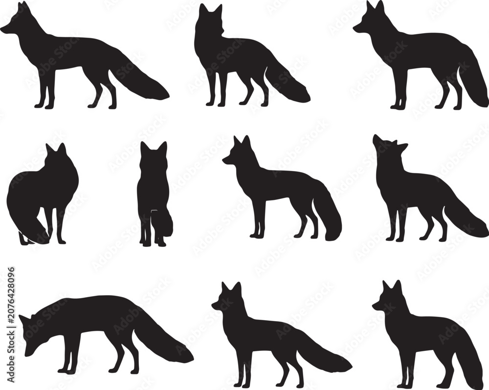 Obraz premium Fox Standing Pose Silhouette Vector Collection Isolated on White Background