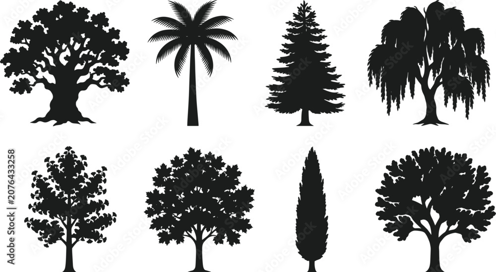 Fototapeta premium Collection of detailed black tree silhouettes including oak palm pine and willow icons isolated on white background