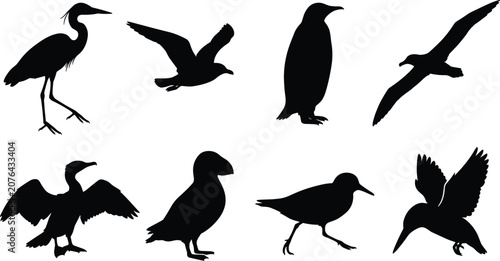 Canvastavla Collection of aquatic and seabird silhouettes including heron seagull penguin co