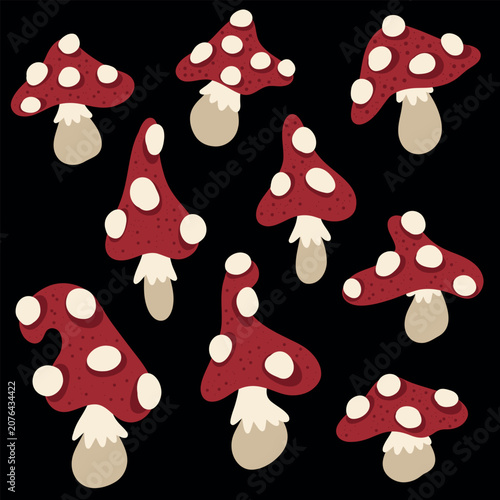 Fly Agaric Mushroom Illustration Set on Black Background