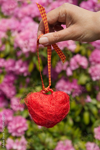 Hand holding red heart. Flower background.