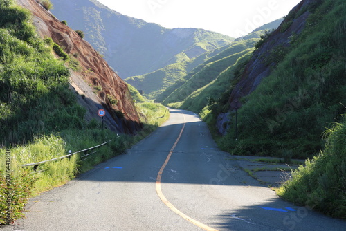 高原に続く道路