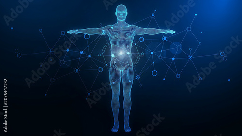 Digital human anatomy hologram model technology concept with hologram, medicine