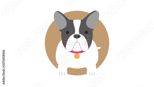 犬のフレンチブルドッグが下から現れるイラスト動画