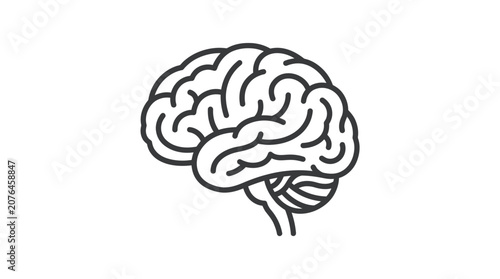 Fotografía Detailed drawing of a human brain.
