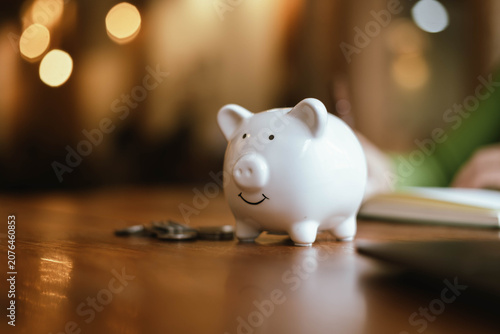 Personal Finance and Wealth Protection with Piggy Bank