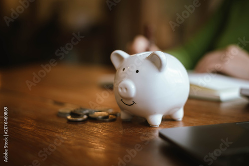 Personal Finance and Wealth Protection with Piggy Bank
