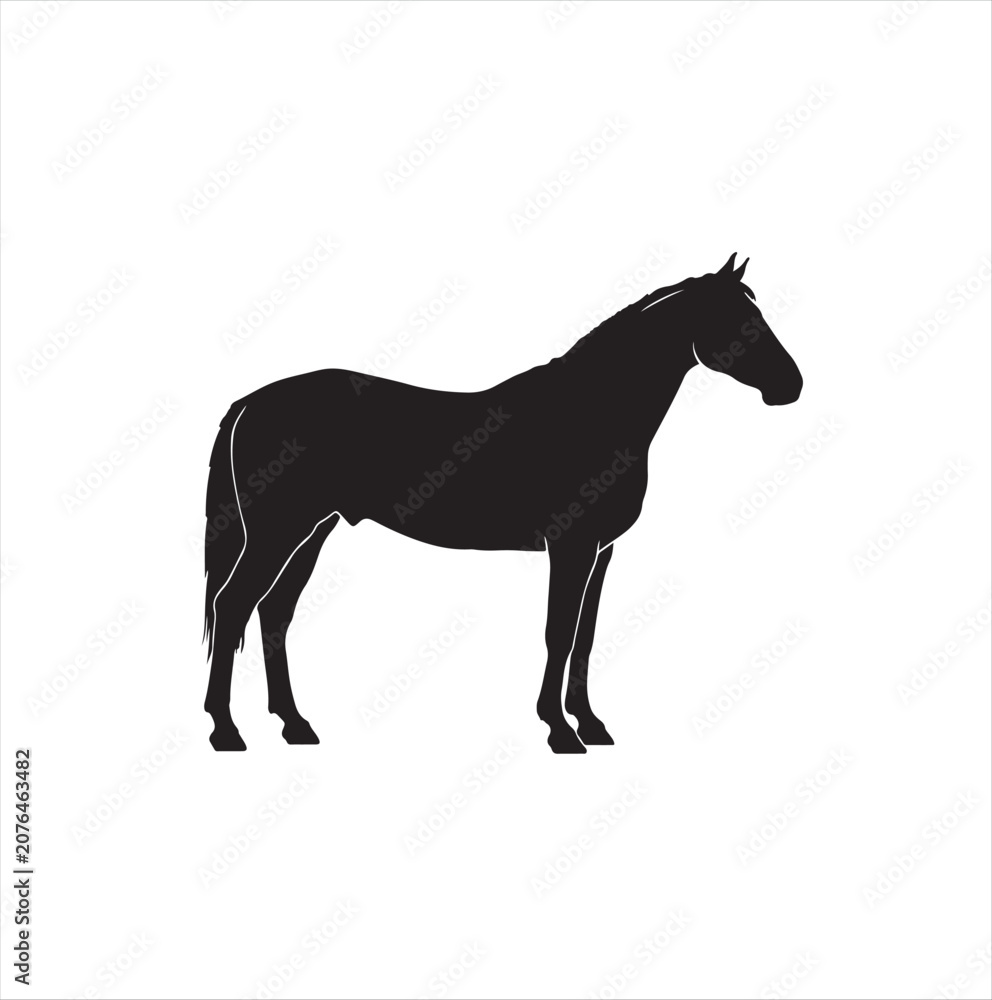 Obraz premium Standing Horse Black Silhouette Vector Isolated Illustration 