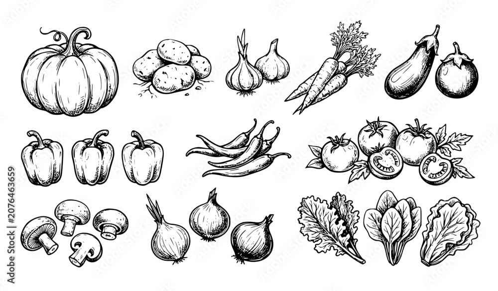 Fototapeta premium Hand Drawn Vegetable Doodle Set Sketch Vector Illustration