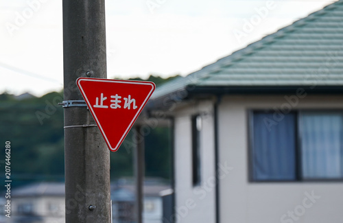 Japanese 