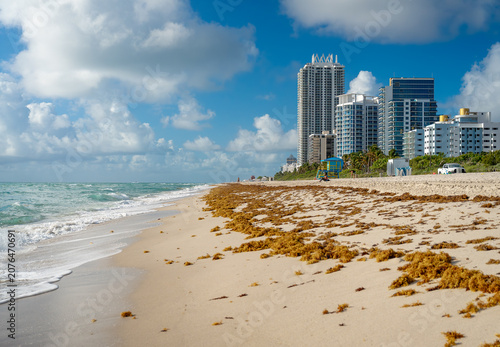 фотографія Miami, USA, 1 May 2026: Ocean waves crashing on sandy coastline, Miami Beach, Florida