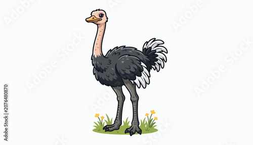 Foto ostrich bird clipart vector illustration