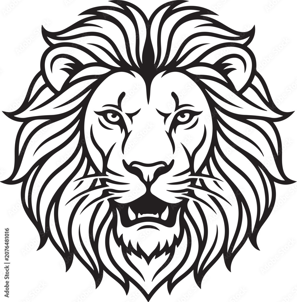 Obraz premium Adobe Illustrator Artwork