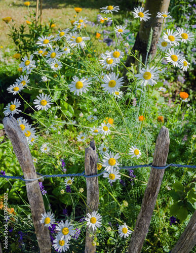 Countryside Fragments