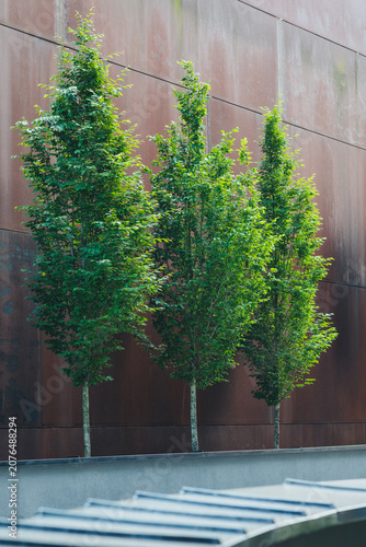 Young Trees on Modern Urban Terrace Against Weathered Metal Facade